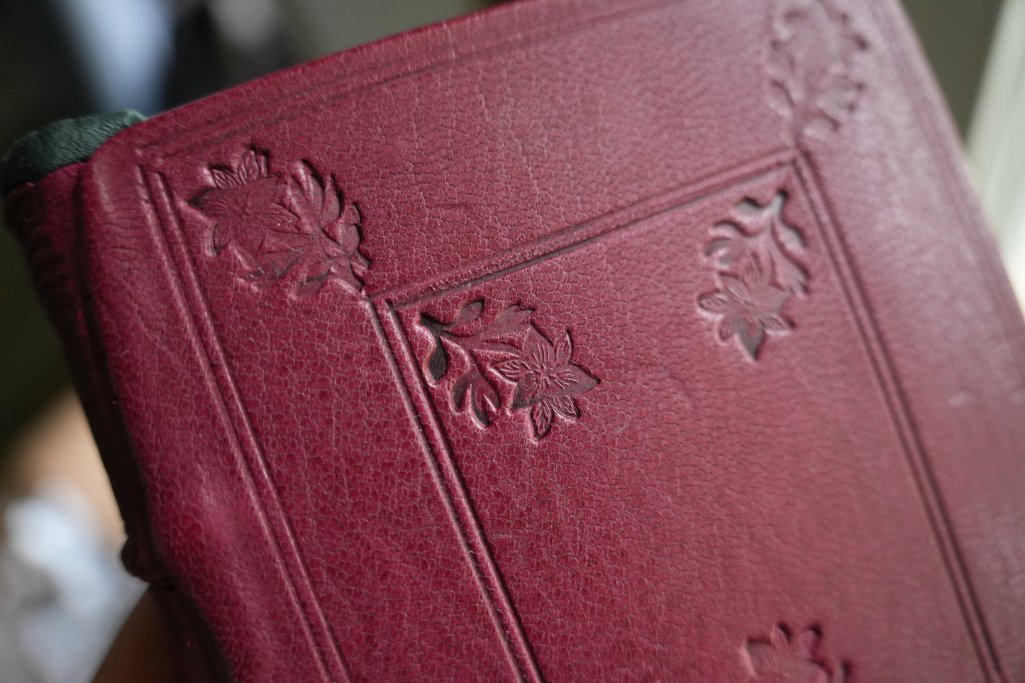 TRILLIUM JOURNAL