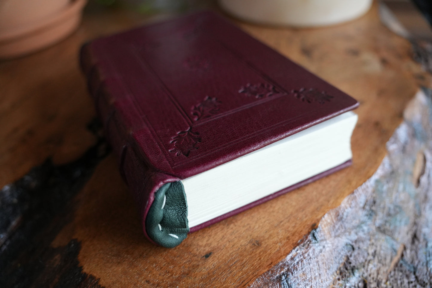 TRILLIUM JOURNAL