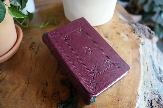 TRILLIUM JOURNAL