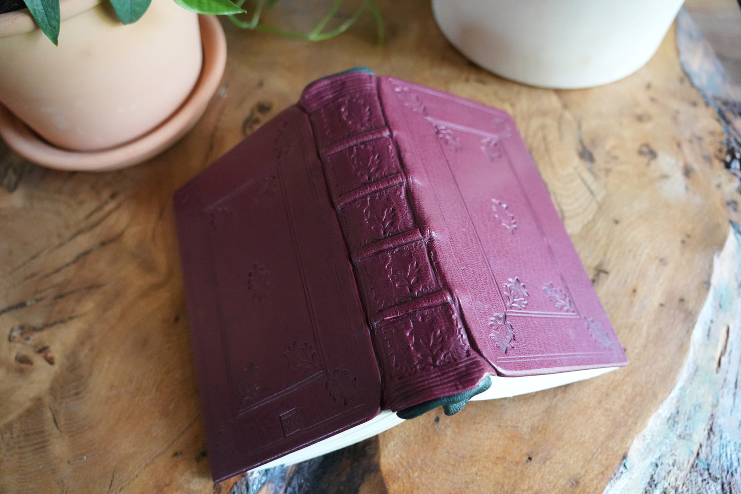 TRILLIUM JOURNAL