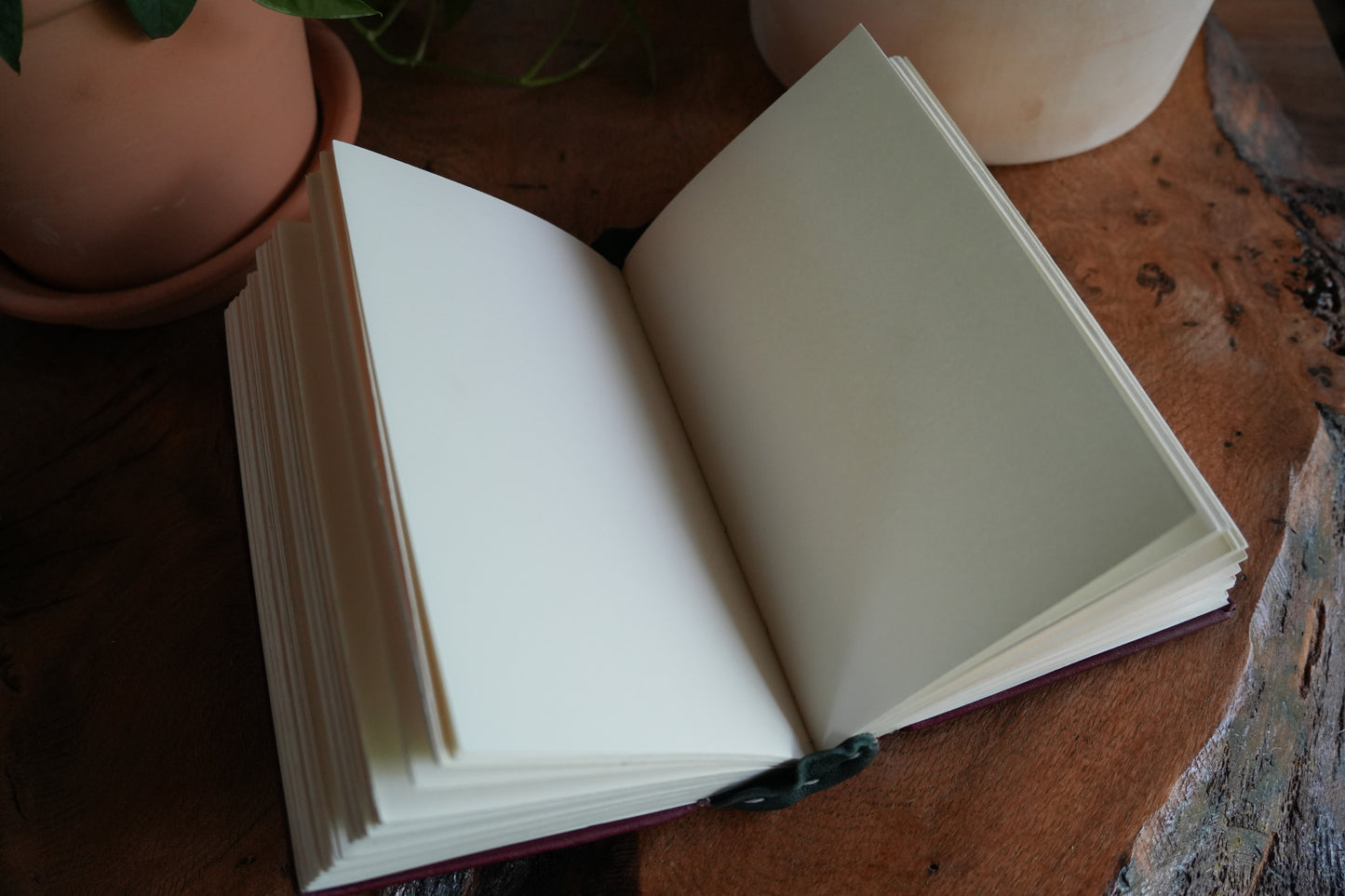 TRILLIUM JOURNAL