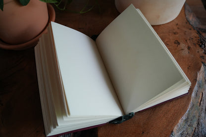 TRILLIUM JOURNAL