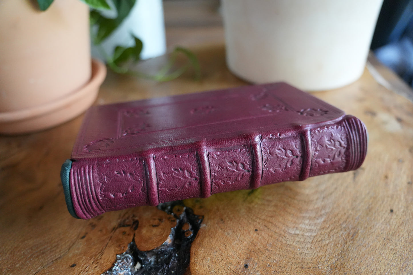 TRILLIUM JOURNAL