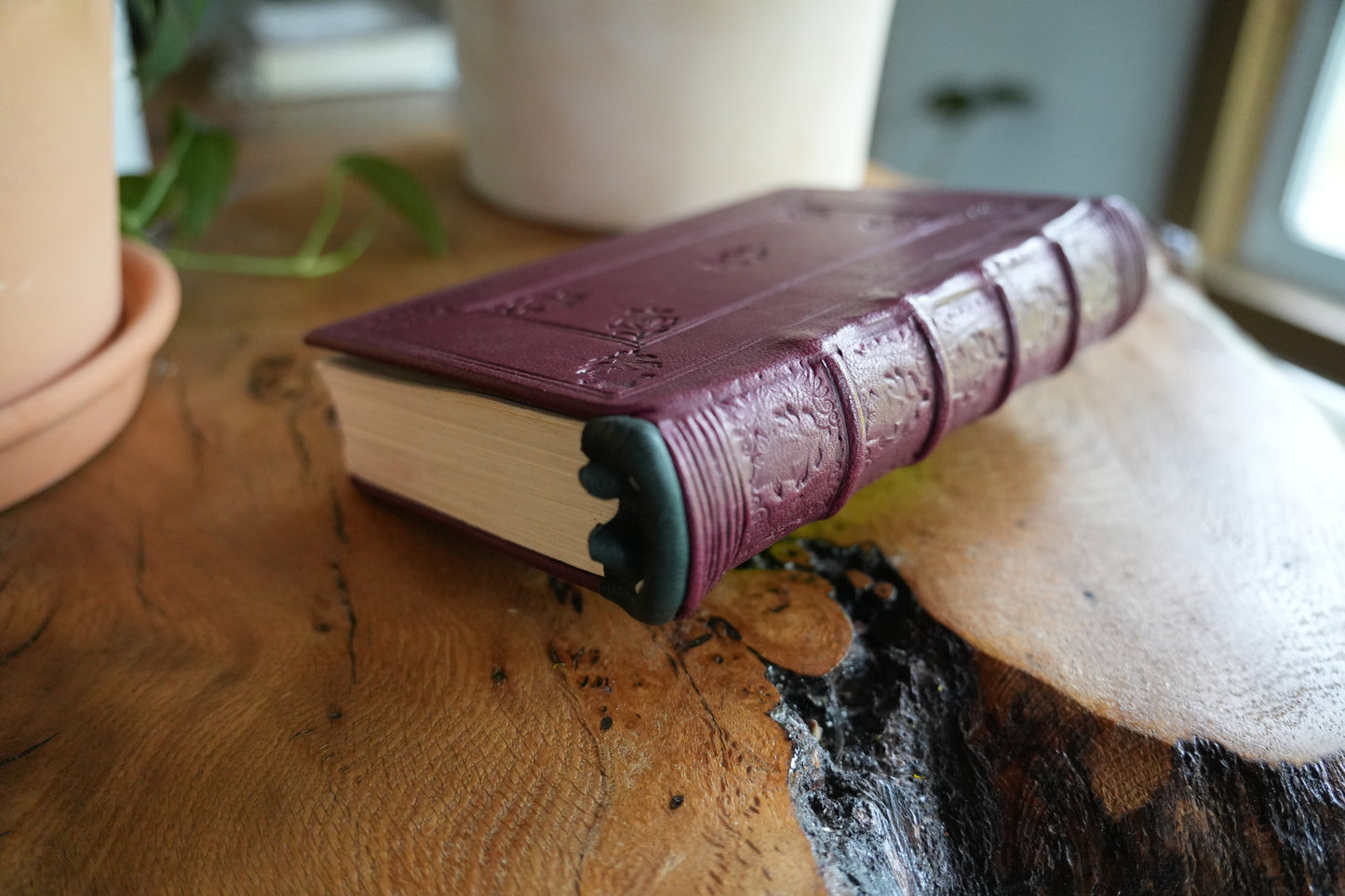 TRILLIUM JOURNAL