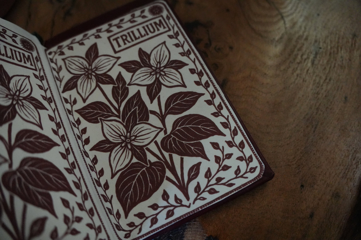 TRILLIUM JOURNAL